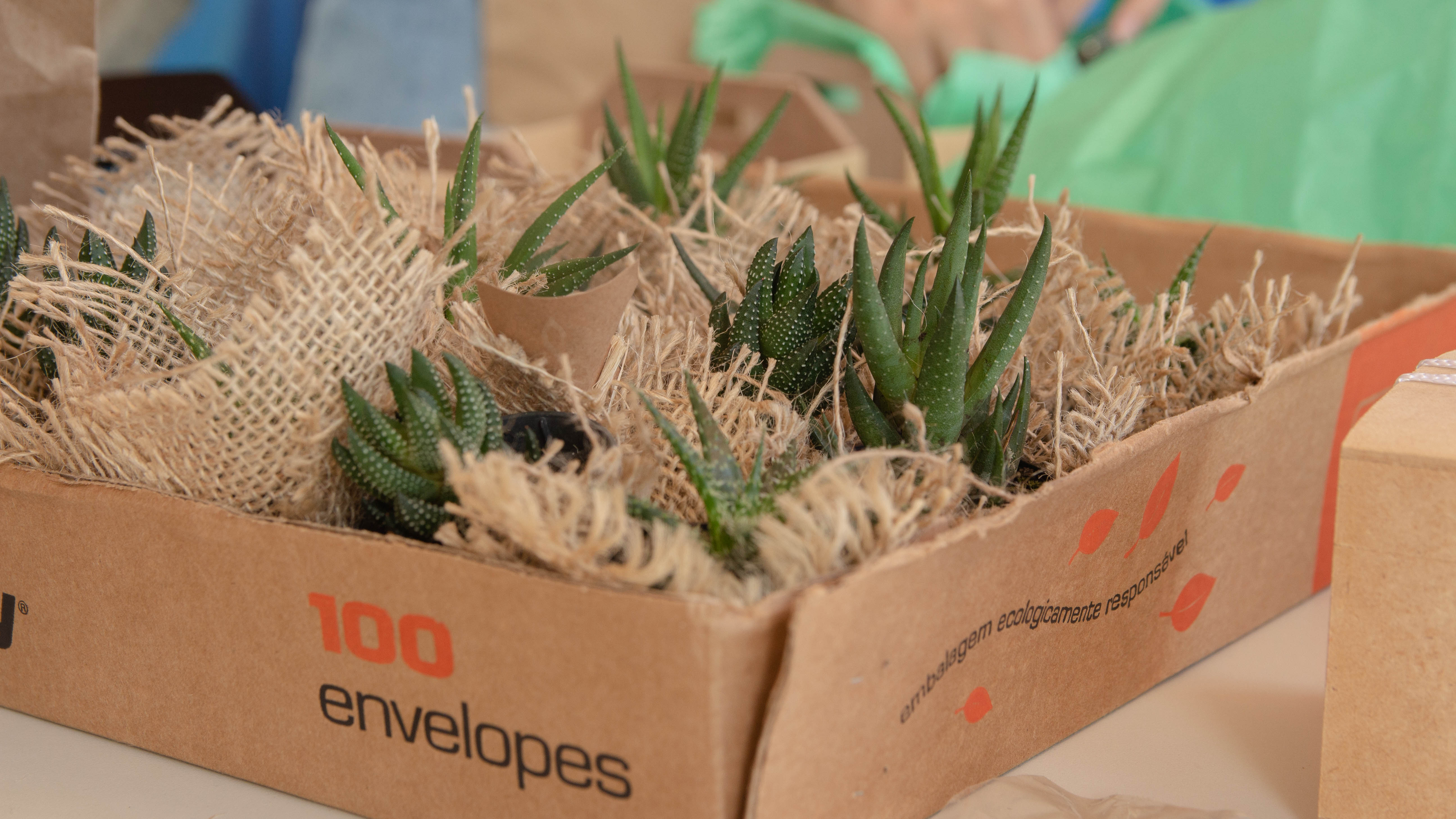 Foto de eventos da Integra